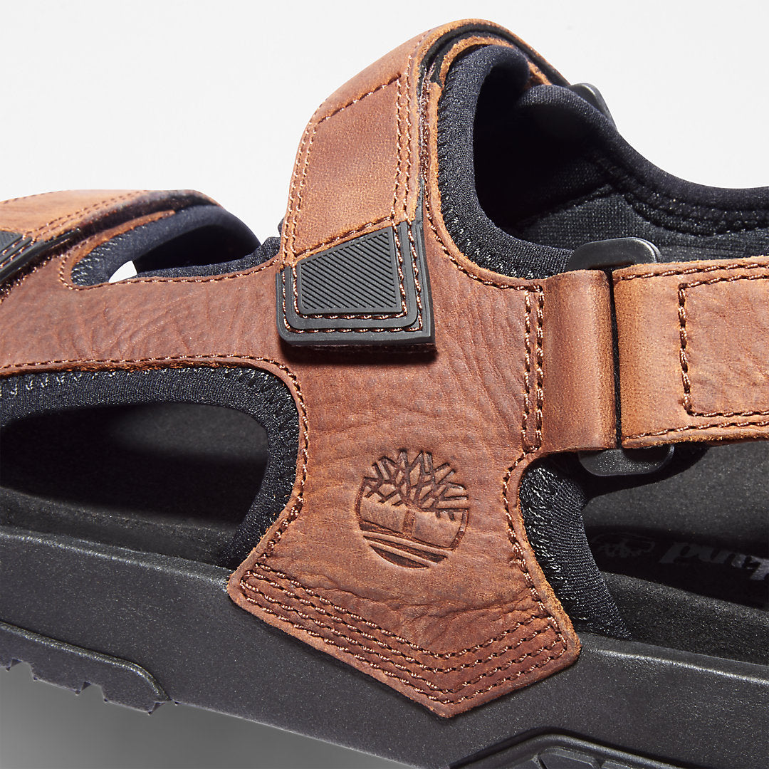Mens Timberland Anchor Watch Backstrap Sandal for Men in Brown