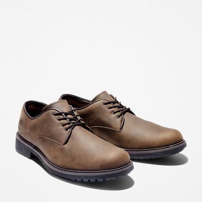 Mens Timberland Stormbucks Oxford for Men in Dark Brown