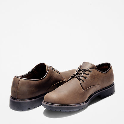 Mens Timberland Stormbucks Oxford for Men in Dark Brown