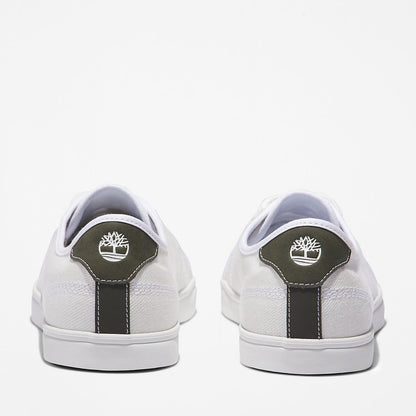 Mens Timberland Skape Park Knit Trainer for Men in White