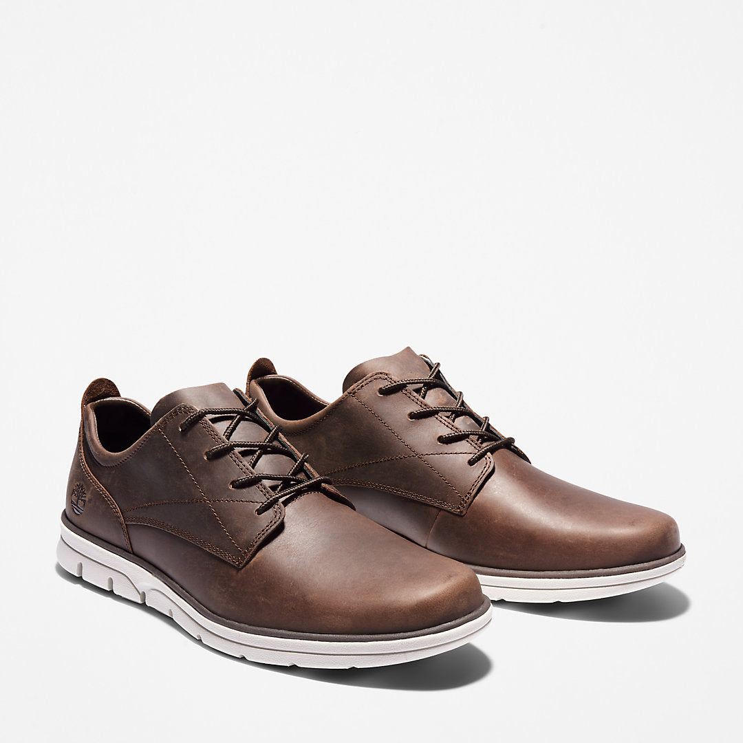 Mens Timberland Bradstreet Sneaker for Men in Dark Brown