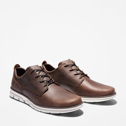 Mens Timberland Bradstreet Sneaker for Men in Dark Brown