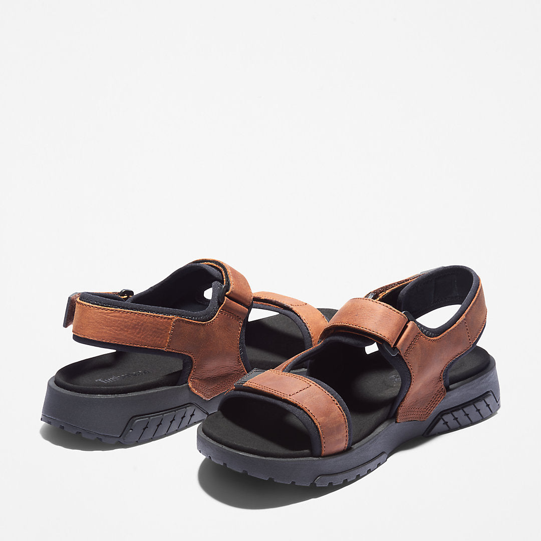 Mens Timberland Anchor Watch Backstrap Sandal for Men in Brown