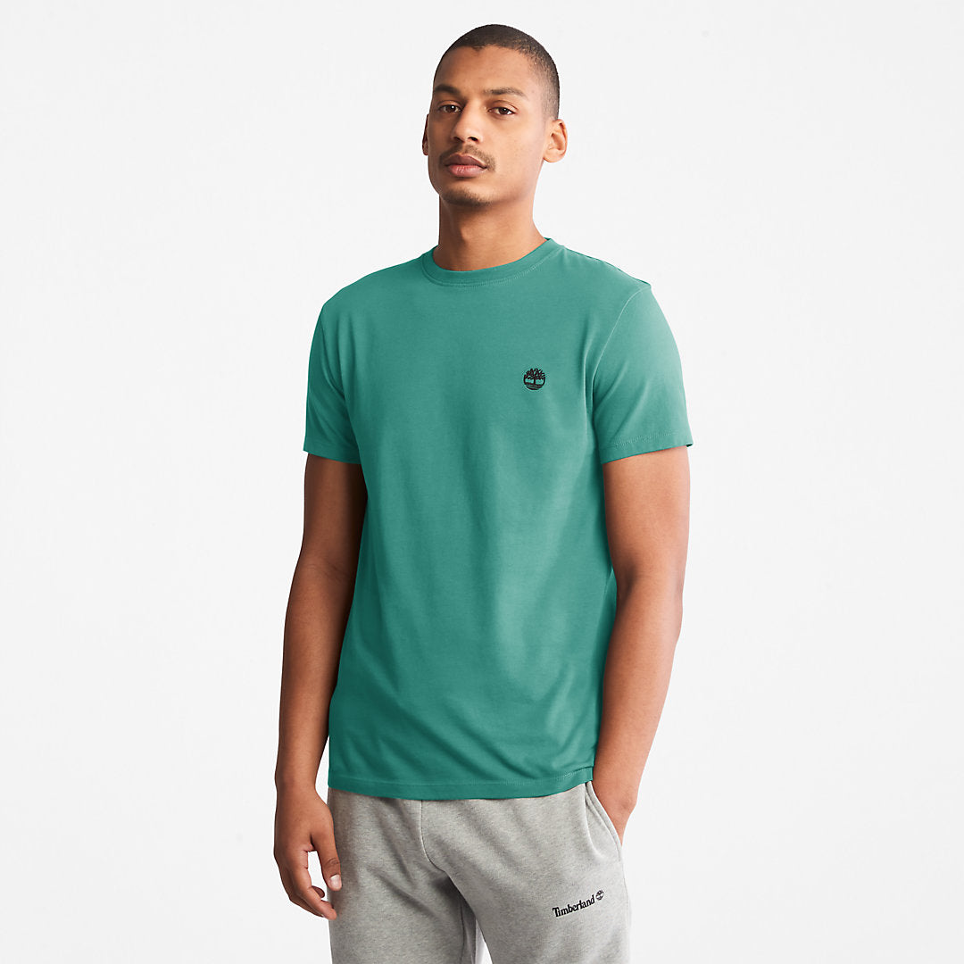 Mens Timberland Dunstan River T-Shirt for Men in Green