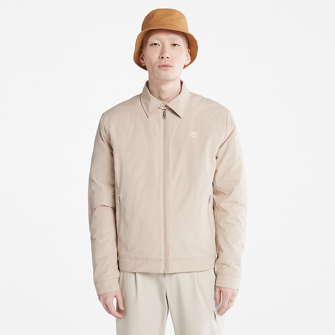 Mens Timberland Men's Stratham Winter Bomber Jacket in Beige