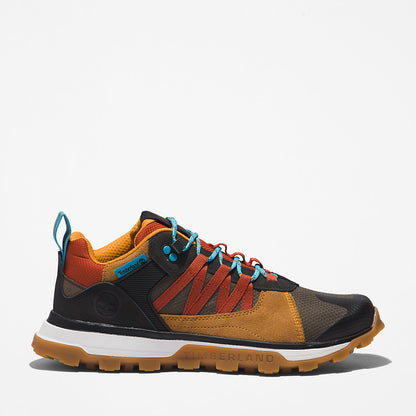 Mens Timberland Treeline STR Trainer for Men in Brown