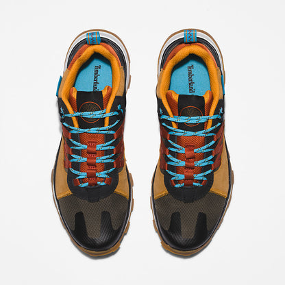 Mens Timberland Treeline STR Trainer for Men in Brown