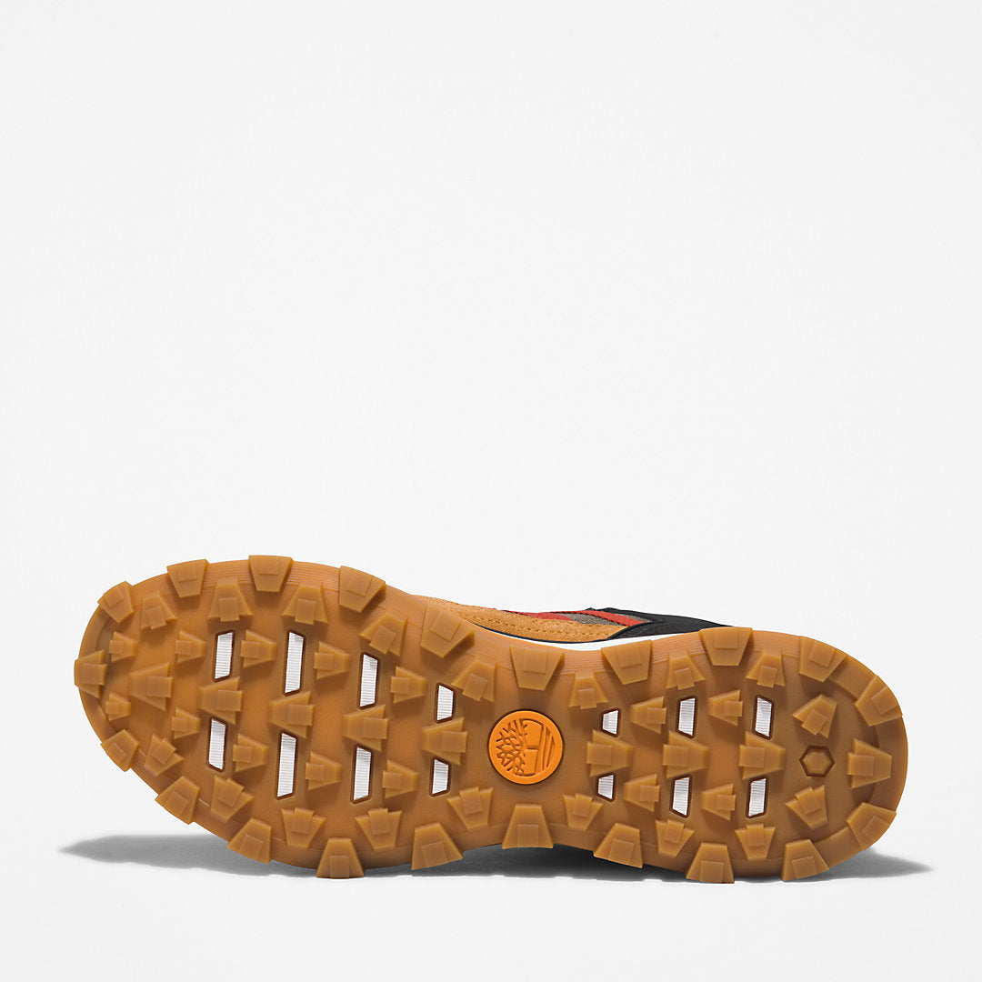 Mens Timberland Treeline STR Trainer for Men in Brown
