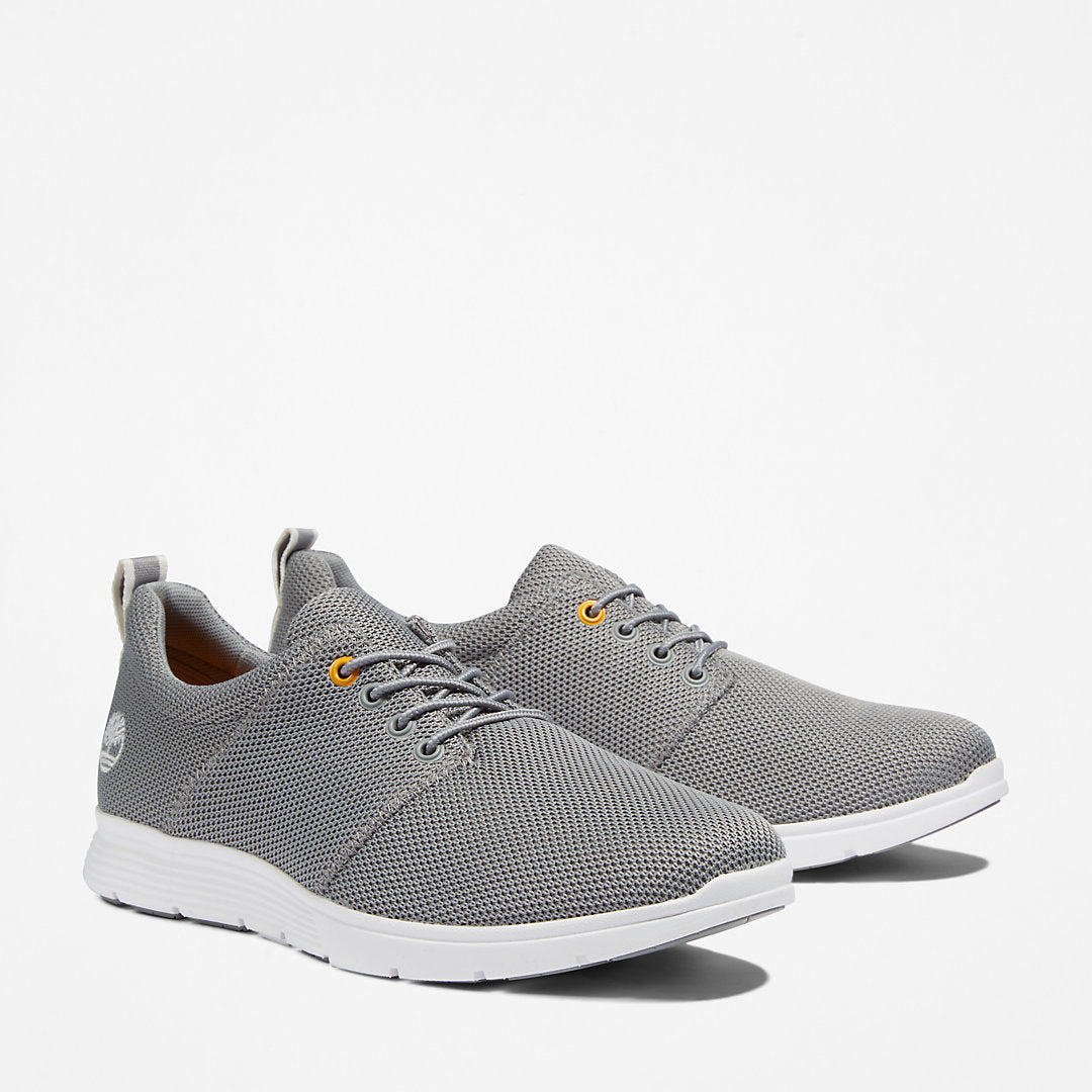 Mens Timberland Killington Oxford Shoe for Men in Grey