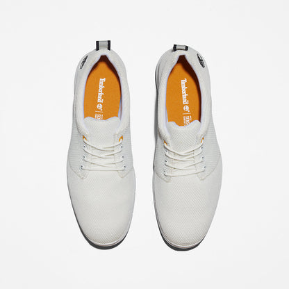 Mens Timberland Killington Oxford Shoe for Men in White