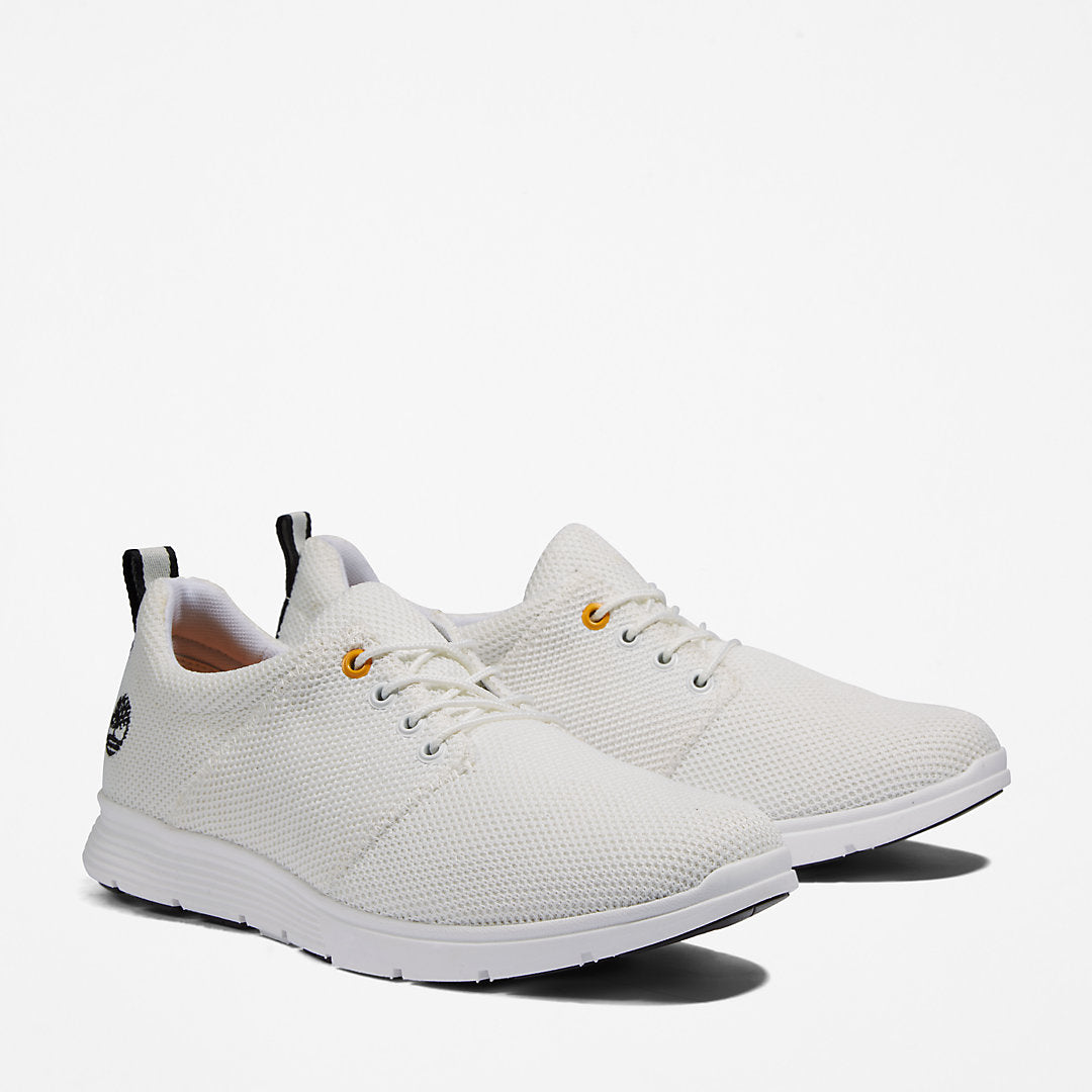 Mens Timberland Killington Oxford Shoe for Men in White