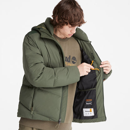 Mens Timberland Neo Summit Winter Jacket for Men in Dark Green
