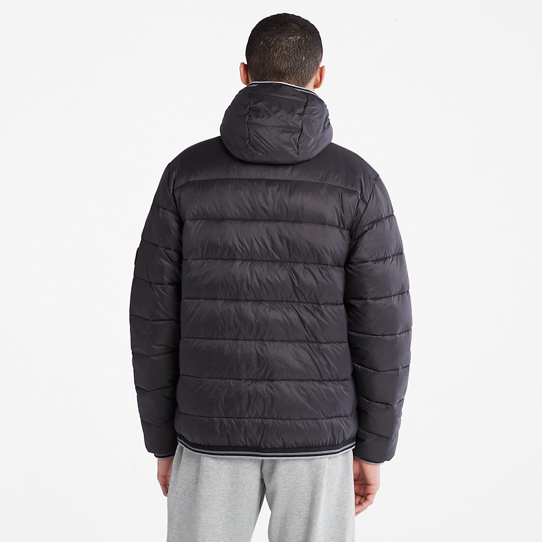 Mens Timberland Garfield Hooded Puffer Jacket for Men in Black