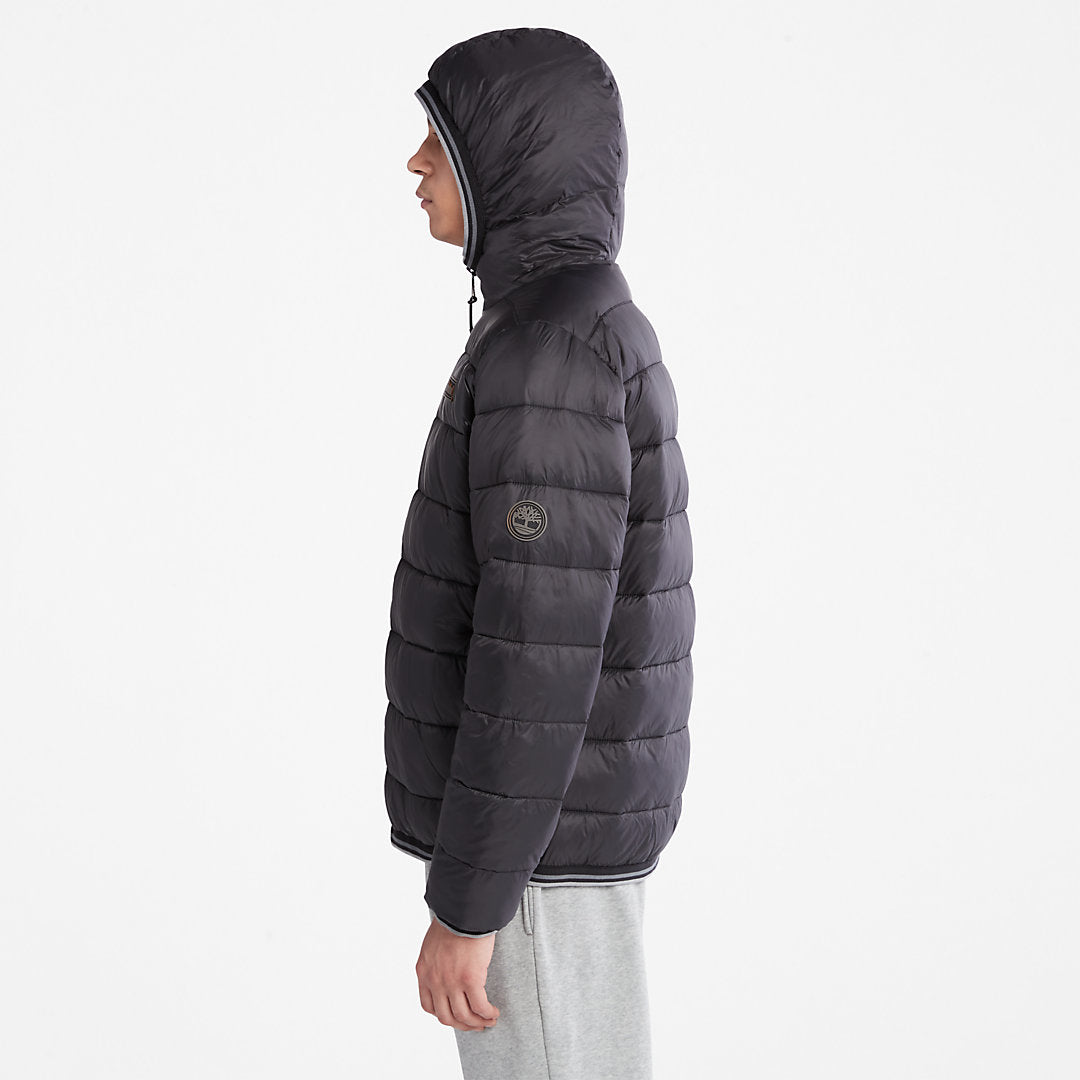 Mens Timberland Garfield Hooded Puffer Jacket for Men in Black