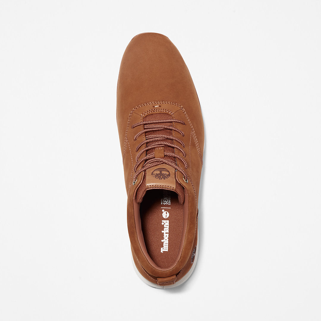 Mens Timberland Killington Sneaker for Men in Brown