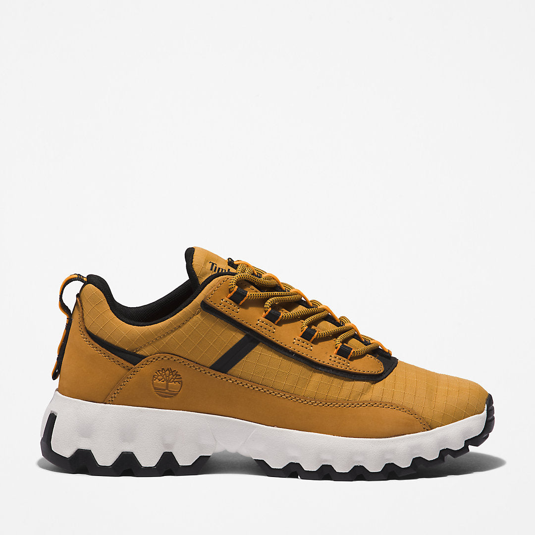 Mens Timberland GreenStride™ TBL® Edge Trainer for Men in Brown