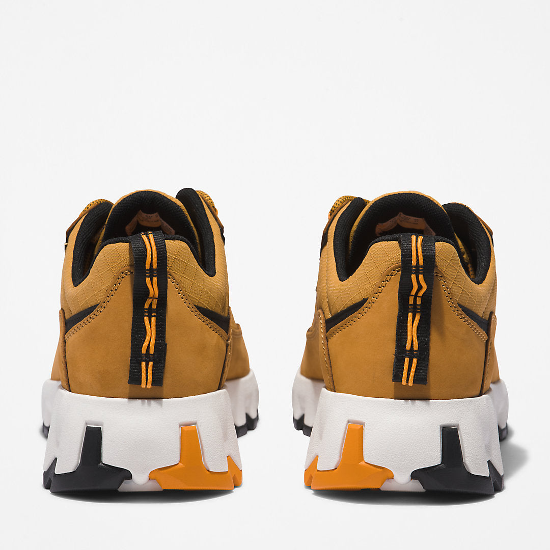 Mens Timberland GreenStride™ TBL® Edge Trainer for Men in Brown