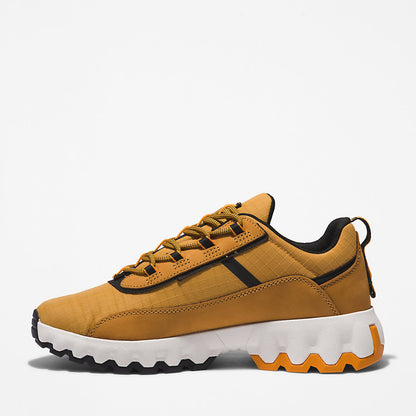 Mens Timberland GreenStride™ TBL® Edge Trainer for Men in Brown