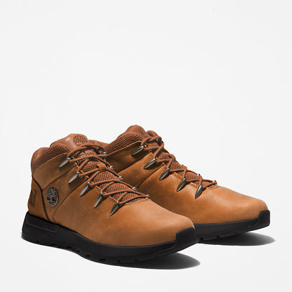 Mens Timberland Sprint Trekker Hiking Boot for Men in Brown