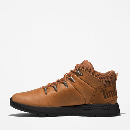 Mens Timberland Sprint Trekker Hiking Boot for Men in Brown