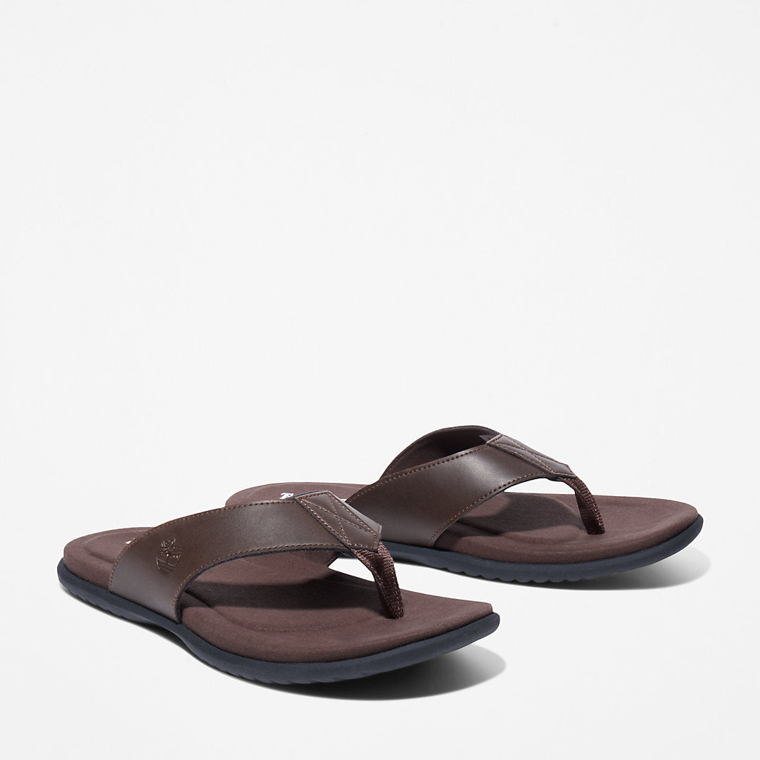 Mens Timberland Kesler Cove Toe-bar Sandal for Men in Dark Brown