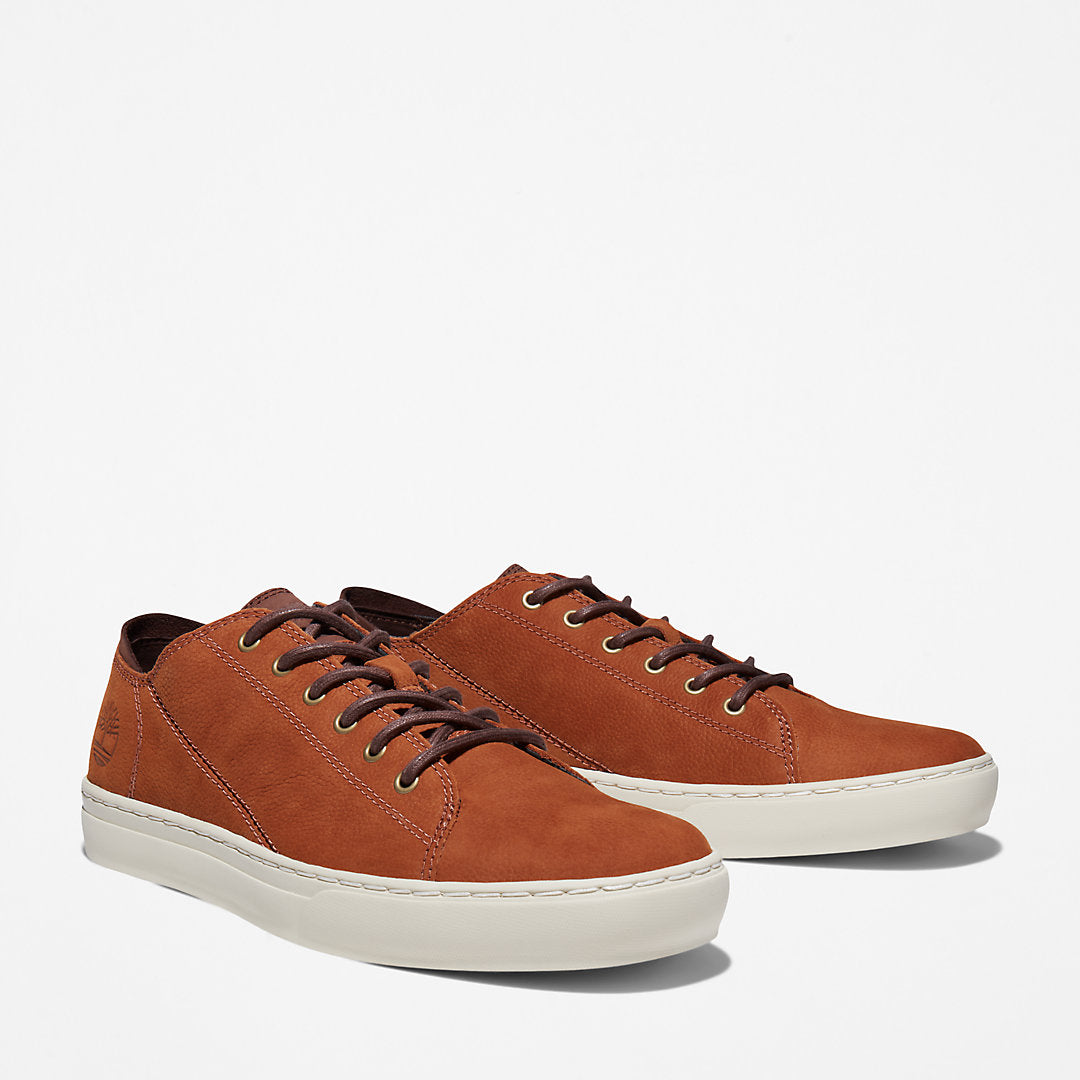Mens Timberland Adventure 2.0 Cupsole Oxford for Men in Brown