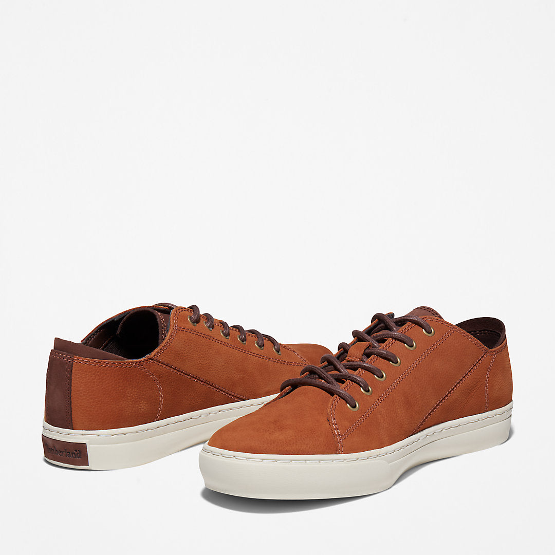 Mens Timberland Adventure 2.0 Cupsole Oxford for Men in Brown